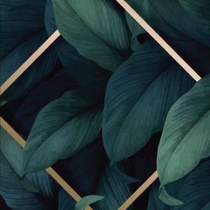 Meet your Posher, Avery